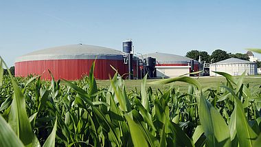 Prozess der Biogaseinspeisung